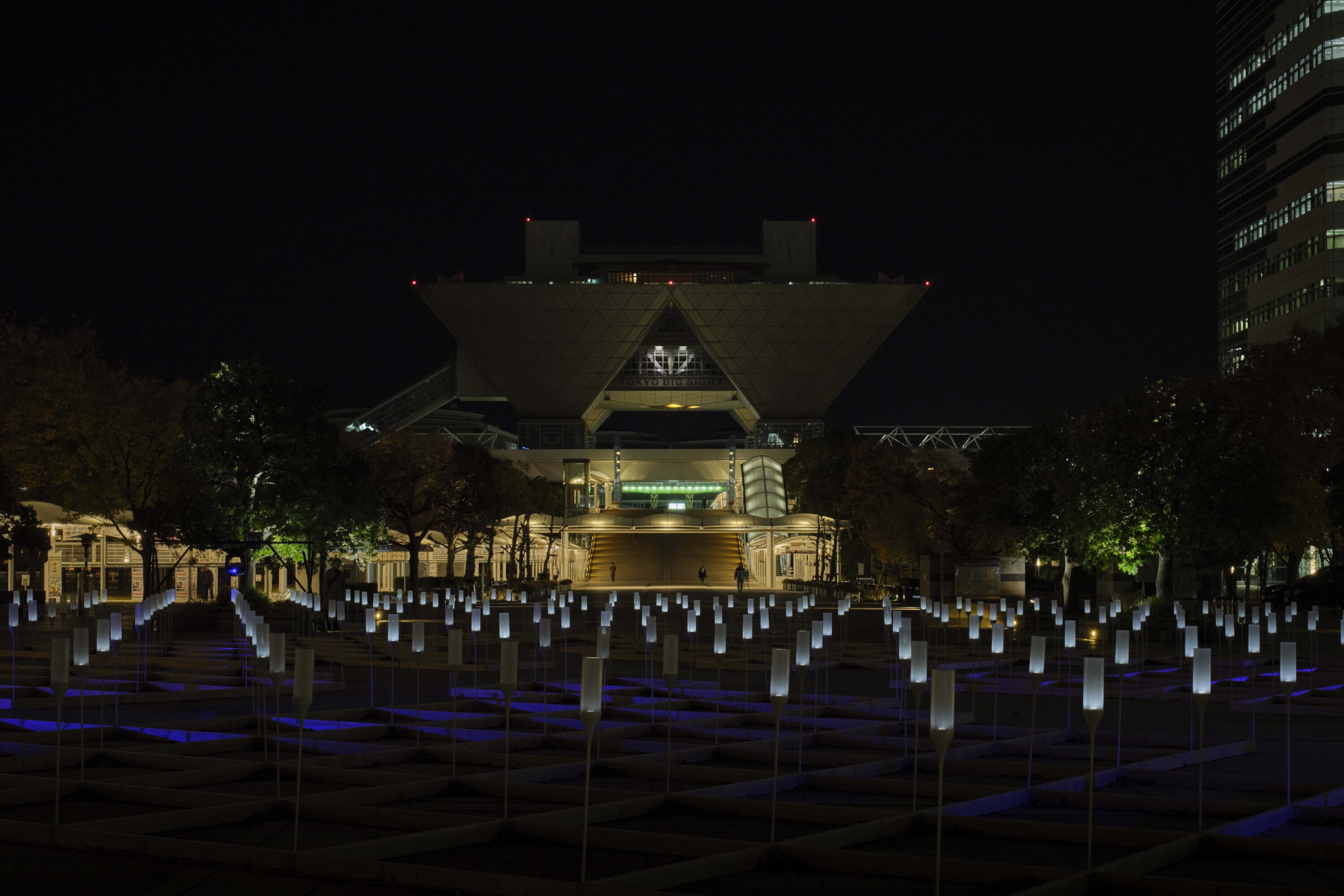 ARTBAY ILLUMINATION 2024 – ARIAKE × WINDSCAPE –