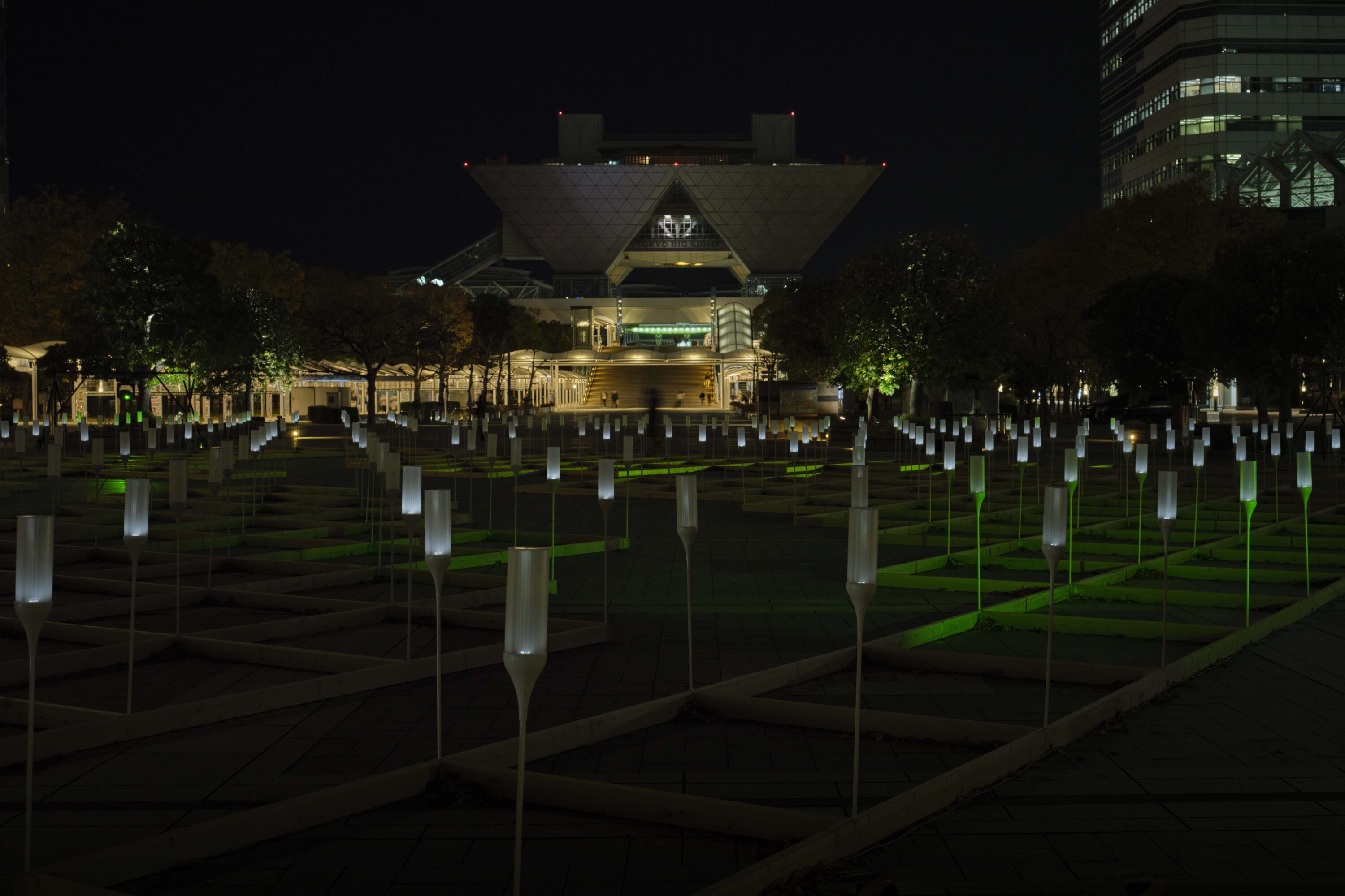 ARTBAY ILLUMINATION 2024 – ARIAKE × WINDSCAPE –