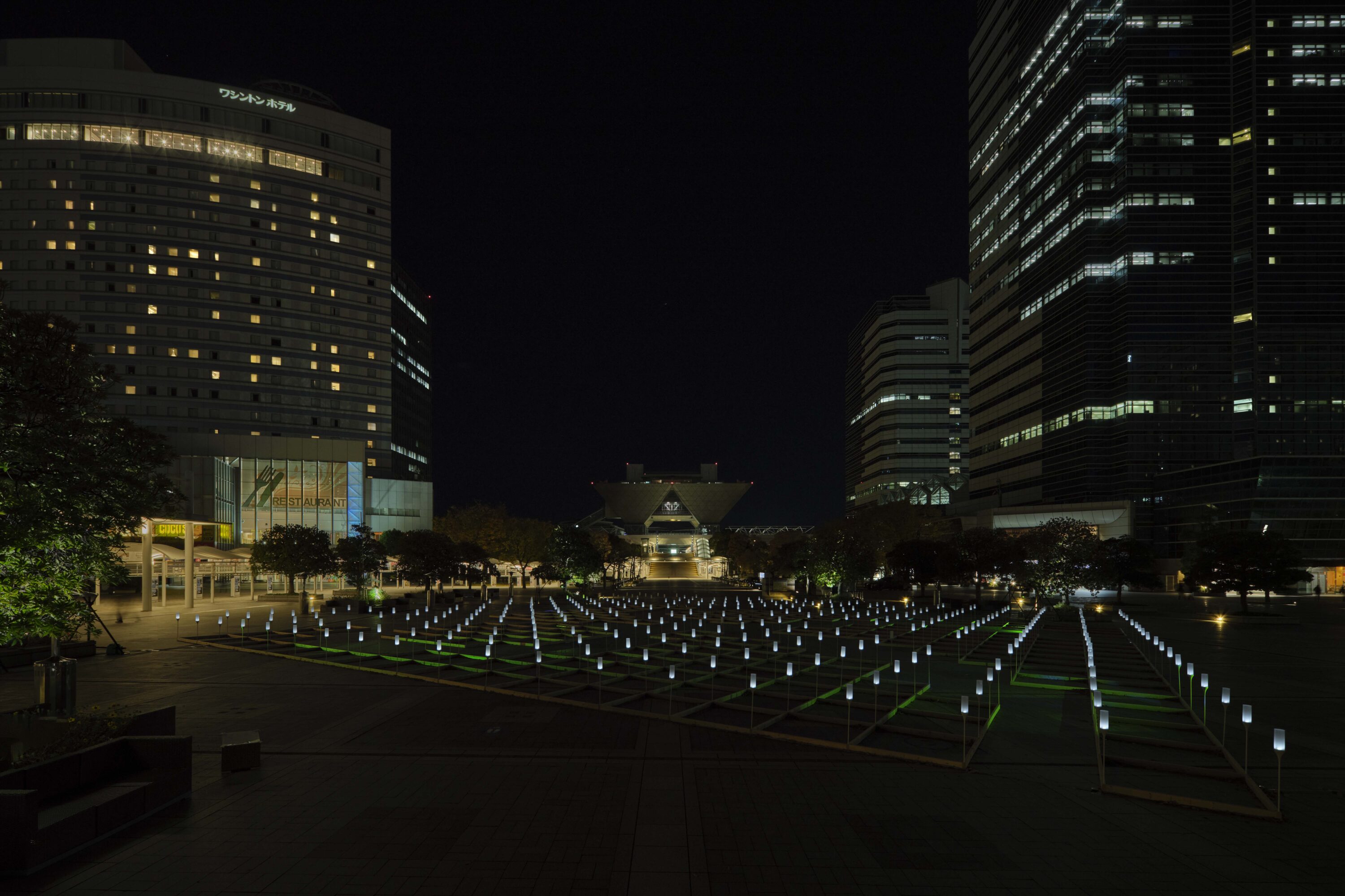 ARTBAY ILLUMINATION 2024 – ARIAKE × WINDSCAPE –