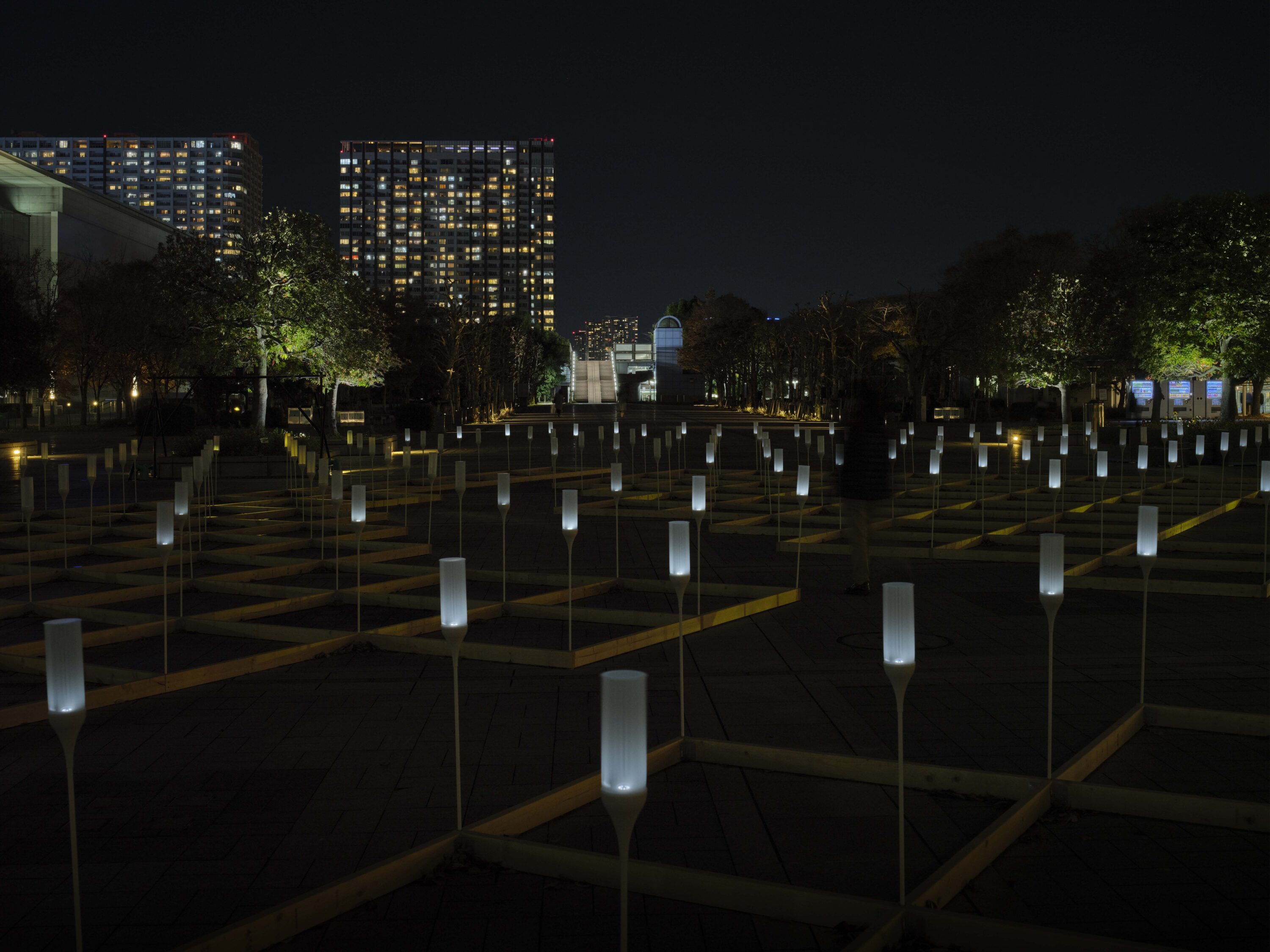 ARTBAY ILLUMINATION 2024 – ARIAKE × WINDSCAPE –